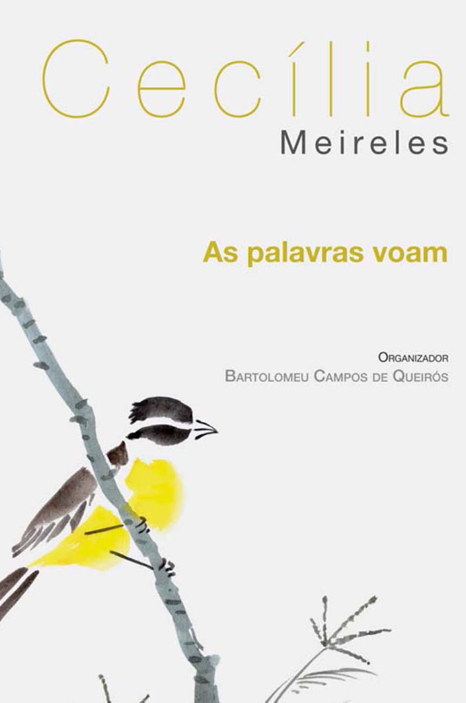 As palavras voam